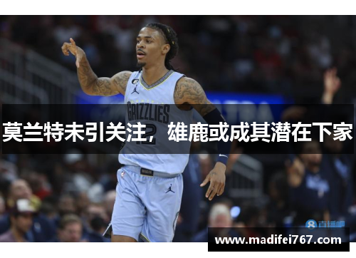 莫兰特未引关注，雄鹿或成其潜在下家